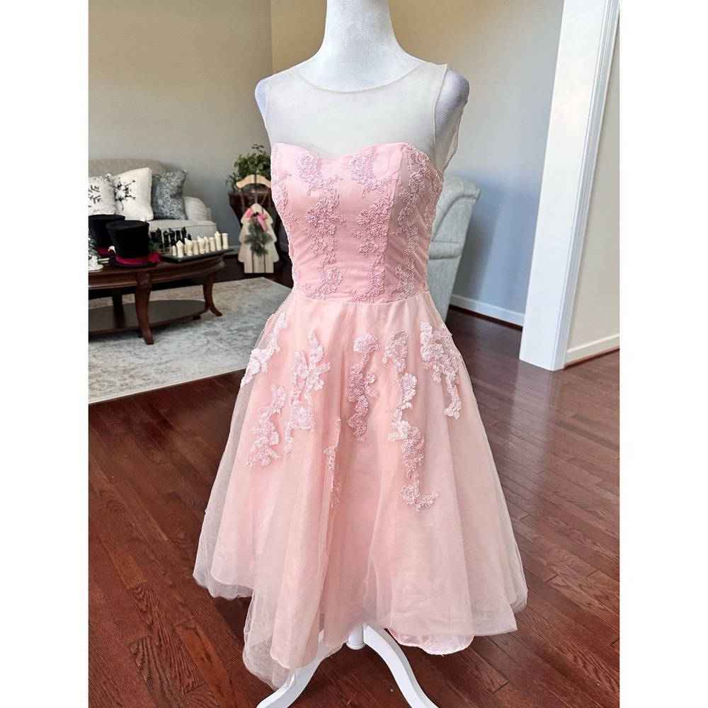 Vintage Steppin Out Baby Pink Embroidered Tulle Sheer Cocktail Dress Size Small - Picture 2 of 11